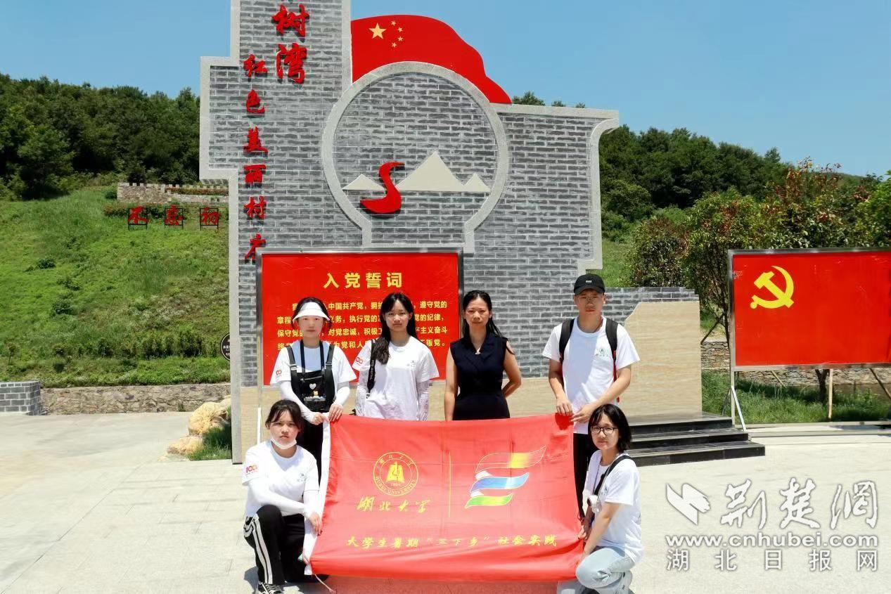 萌宠大连接