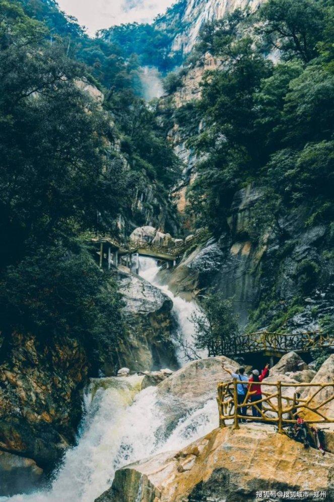 小汪汪